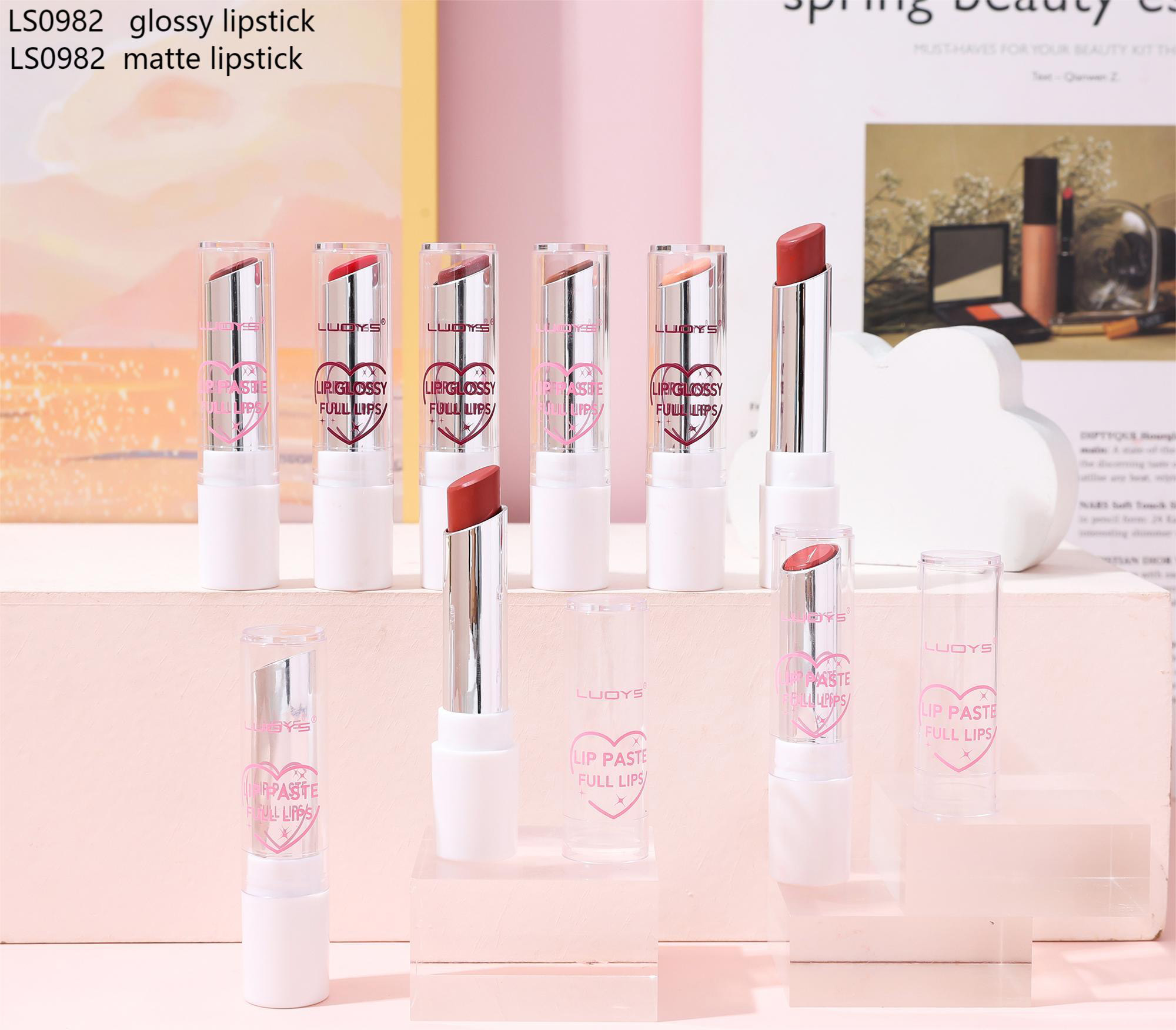 LS0982 glossy lipstick LS0982 matte lipstick