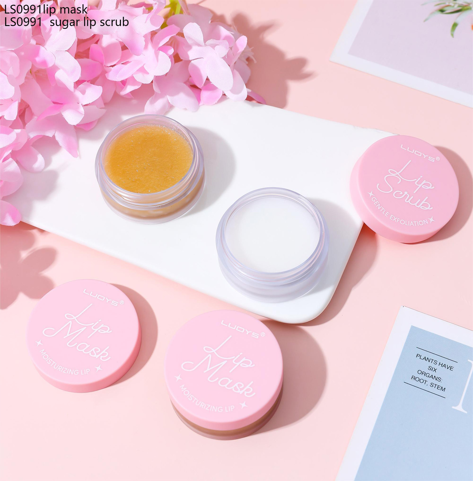 LS0991lip mask LS0991 sugar lip scrub