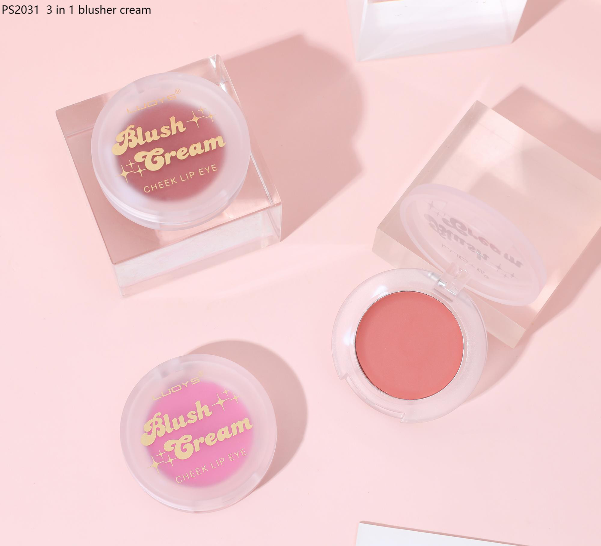 PS20313 in 1 blusher cream