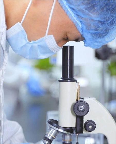 The laboratory team keeps us innovative all the time