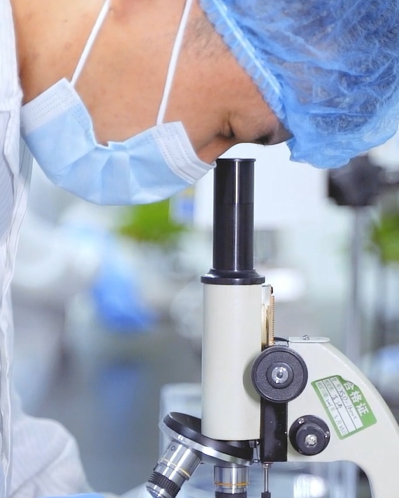 What ingredients in cosmetics can make skin allergic？